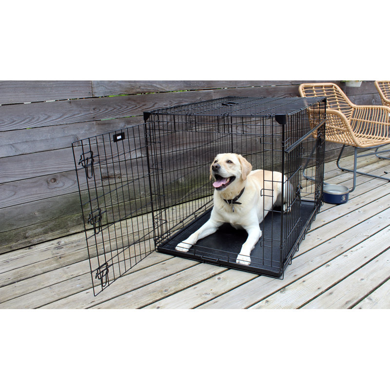Tucker Murphy Pet™ Seaforth Sliding Double Door Pet Crate & Reviews